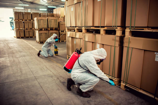 Best Pest Control Near Me  in Bowmanstown, PA
