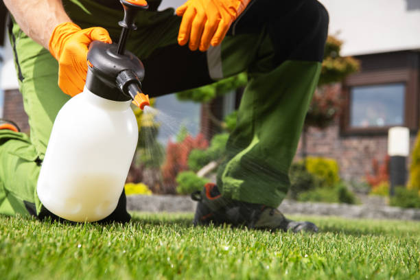 Best Residential Pest Control  in Bowmanstown, PA