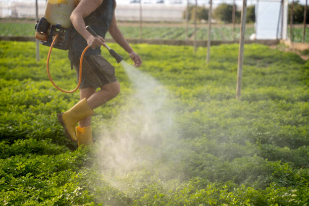 Pest Control for Restaurants in Bowmanstown, PA
