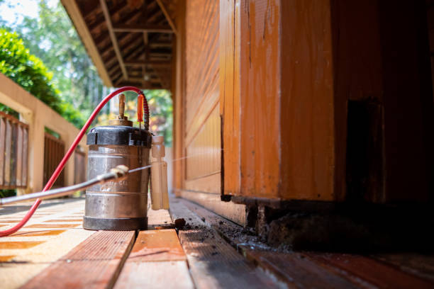 Best Pest Prevention Services  in Bowmanstown, PA