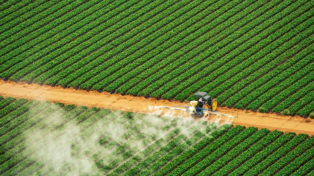 Best Mosquito Control Services  in Bowmanstown, PA