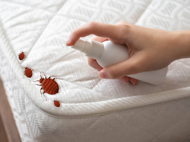 Best Flea Control Services  in Bowmanstown, PA