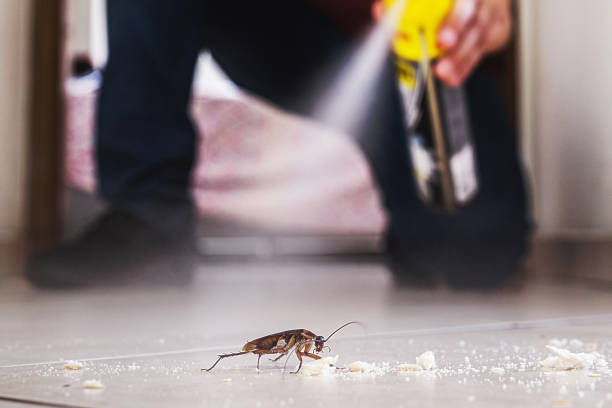 Insect Control in Bowmanstown, PA