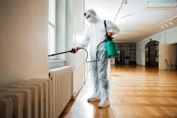 Professional Pest Control in Bowmanstown, PA