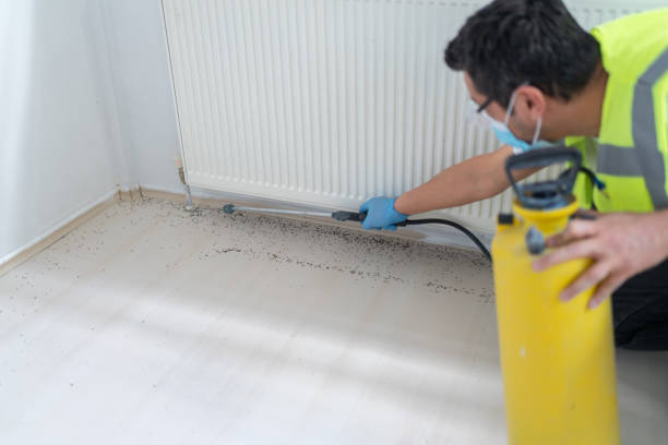 Best Local Pest Control Services  in Bowmanstown, PA