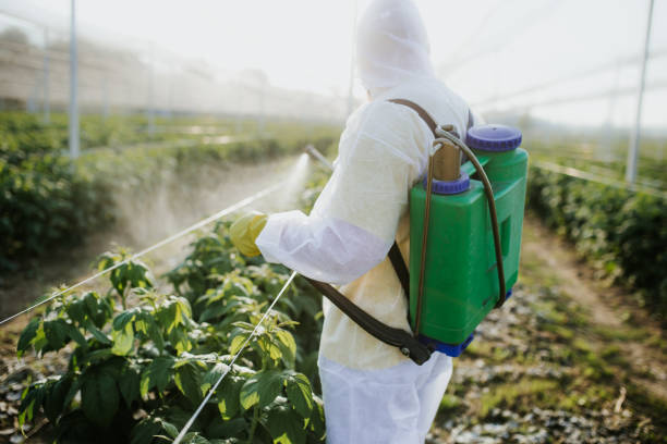 Best Pest Control for Restaurants  in Bowmanstown, PA
